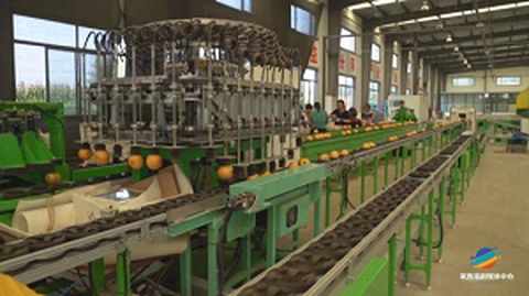 Το πρώτο φόρουμ υπηρεσίας προέλευσης τυποποίησης φρούτων