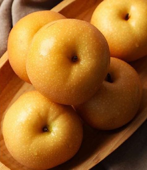 Ποικιλίες Αχλαδιού