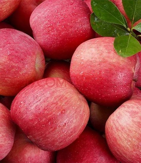 Όλοι οι τύποι μήλων